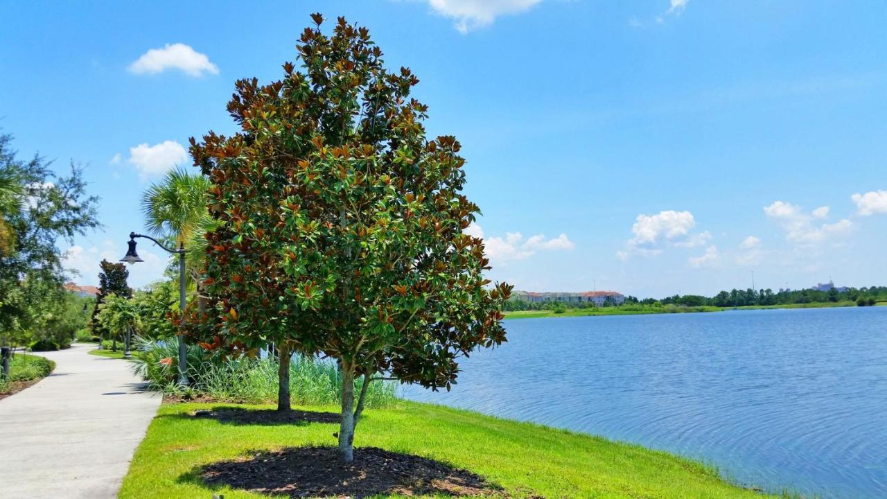 Ground-Floor Condo Next To Vista Cay Clubhouse And Pool! Orlando Exterior photo